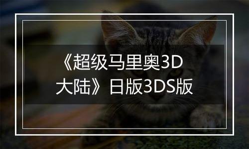 《超级马里奥3D 大陆》日版3DS版