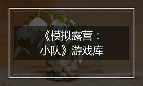《模拟露营：小队》游戏库