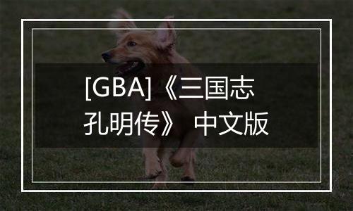 [GBA]《三国志孔明传》 中文版