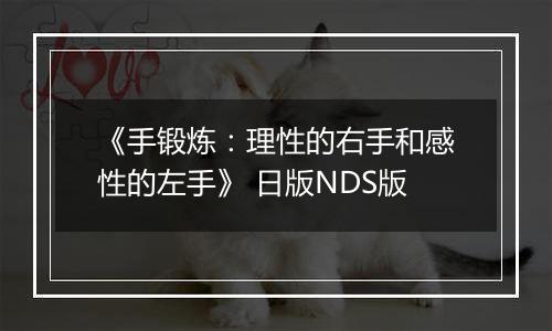 《手锻炼：理性的右手和感性的左手》 日版NDS版