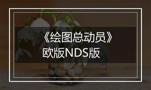 《绘图总动员》 欧版NDS版
