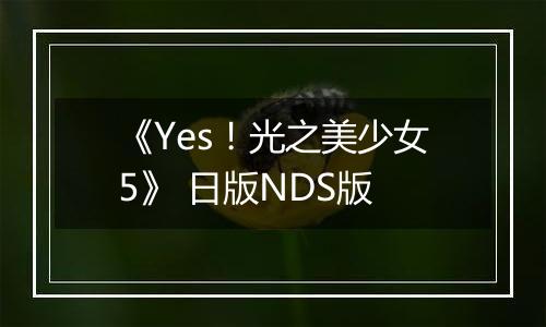 《Yes！光之美少女5》 日版NDS版