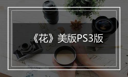 《花》美版PS3版