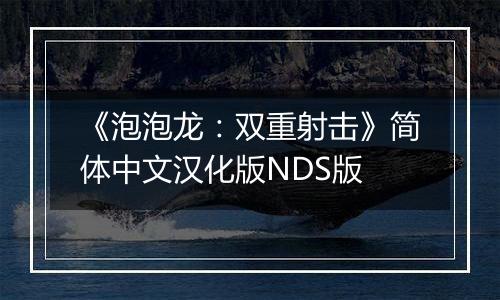 《泡泡龙:双重射击》简体中文汉化版NDS版